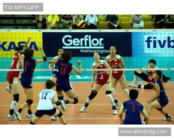 杭州排球队总决赛战术分析与表现评估全面解读