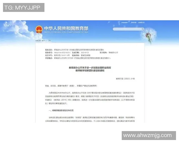 杭州排球队阵地战解析：战术创新与团队协作的完美结合