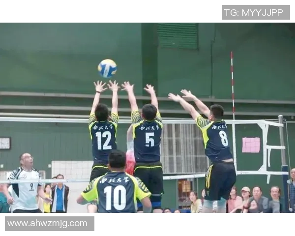 武汉排球队灵活性解析：战术创新与团队协作的完美结合