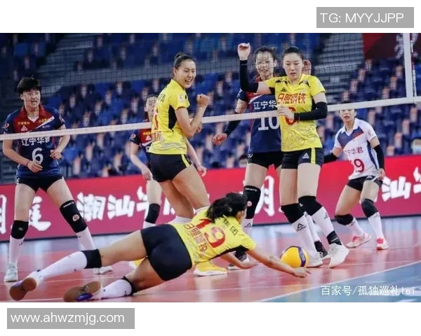 最新排球比赛经验TOP10：重庆排球队领跑